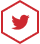 twitter icon hover
